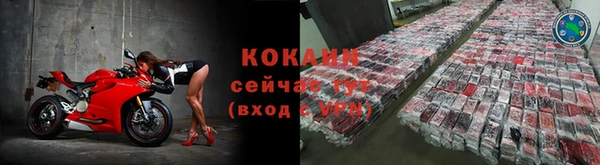 шишки Балахна
