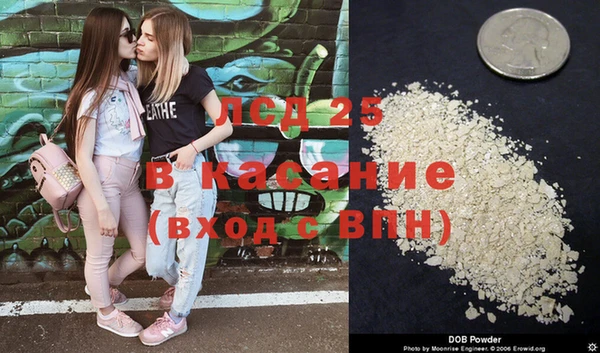 шишки Балахна