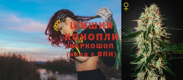 шишки Балахна